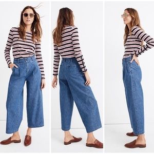 Madewell pleated wide-leg jeans in Willowdale wash